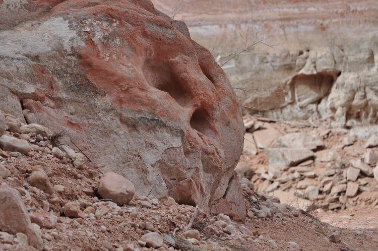 Rainbow Bridge boat tour on Lake Powell